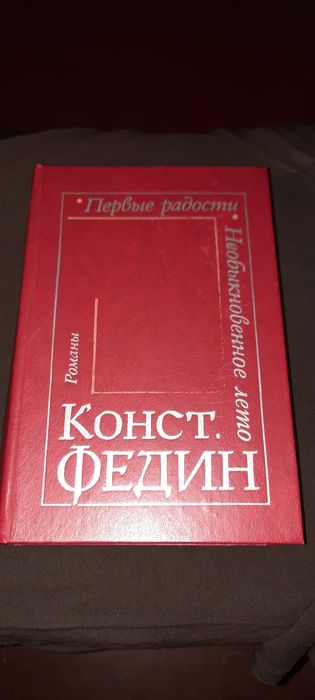 К. Федин. Первые радости, Необыкновенное лето