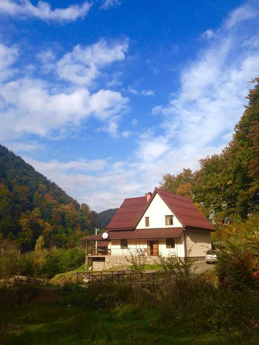 Оренда  будинку в Шаяні "VillaVika"
