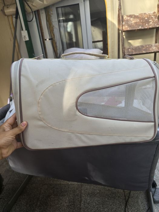 Transportadora de animal