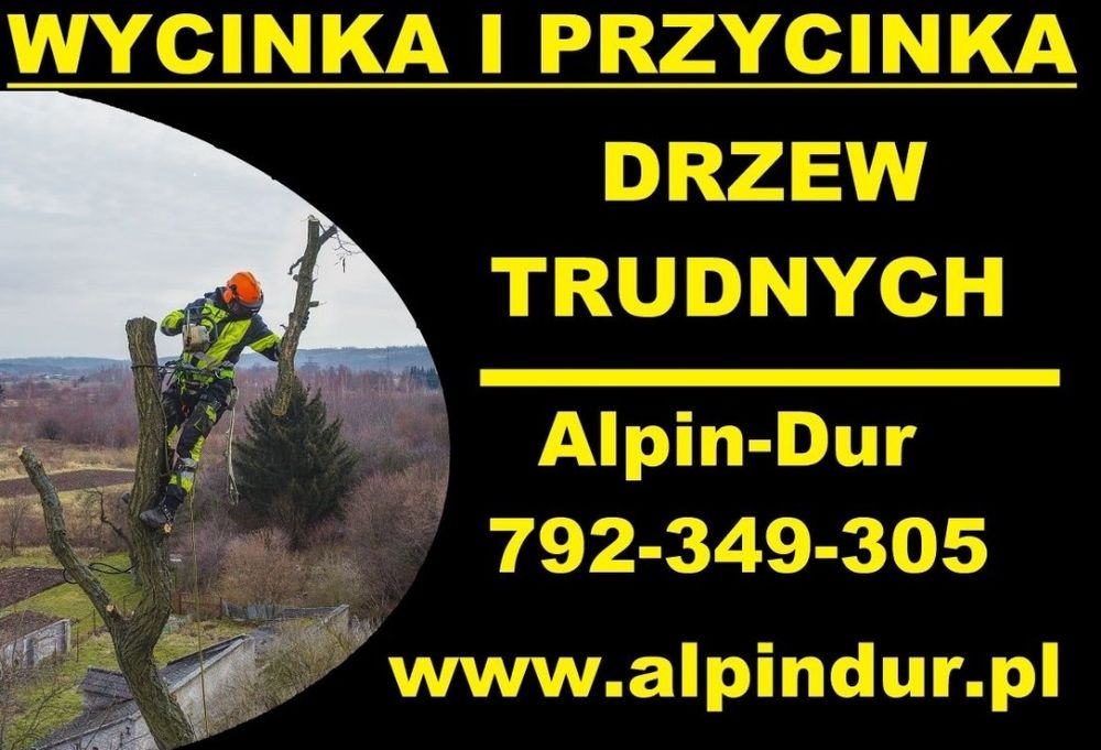 Wycinka i Przycinka Drzew Trudnych