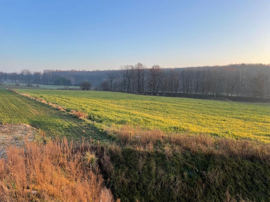 Dzialka rolna 74 ary Poradów