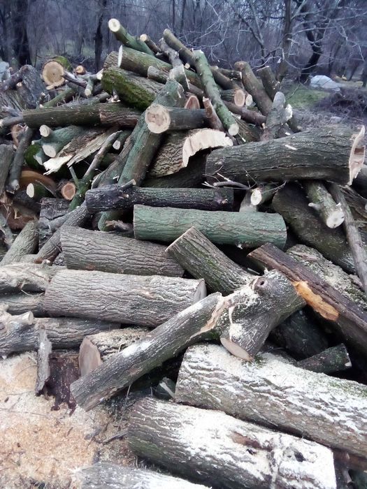 Дрова твердых пород