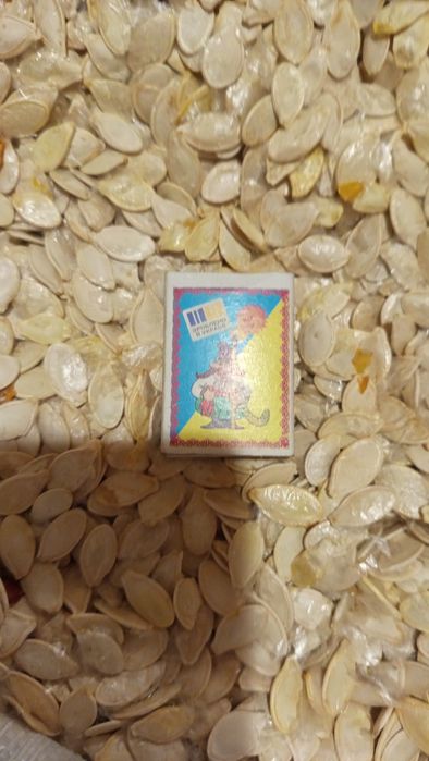 Гарбузове насіння