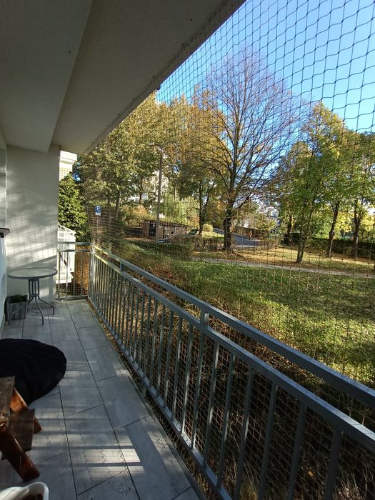 Siatka na balkon, siatka dla kota, soatka przeciw ptakom