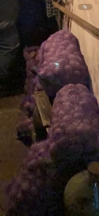 Продаж картоплі Вінниця