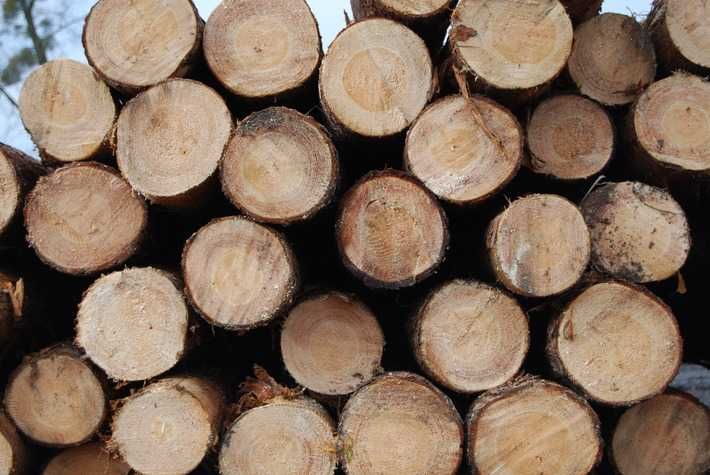 sprzedam komnikowe w metrach lub rąbane tanio!!!