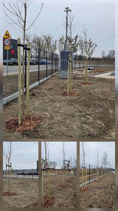 Zakładanie pielęgnacja ogrodów,Usługi ogrodnicze,Nawadnianie, Trawniki