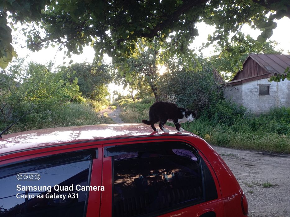 Продам Деу Матиз