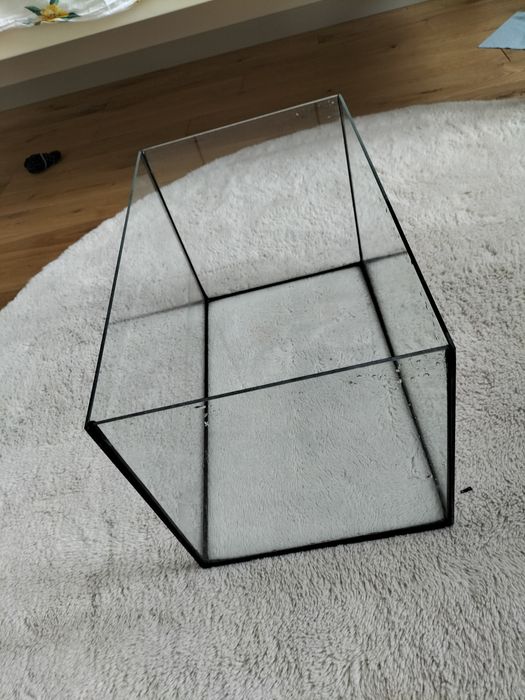 Акваріум в гарному стані