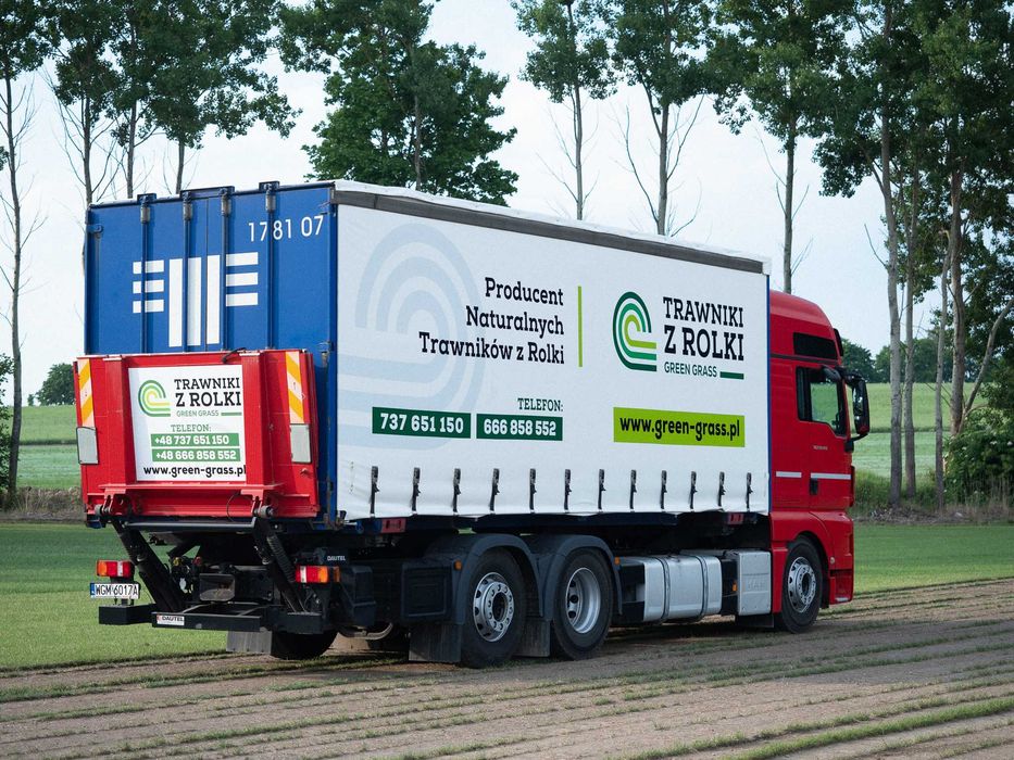 Trawniki z rolki Green Grass/Plantacja/Producent/Najlepsza Jakość!