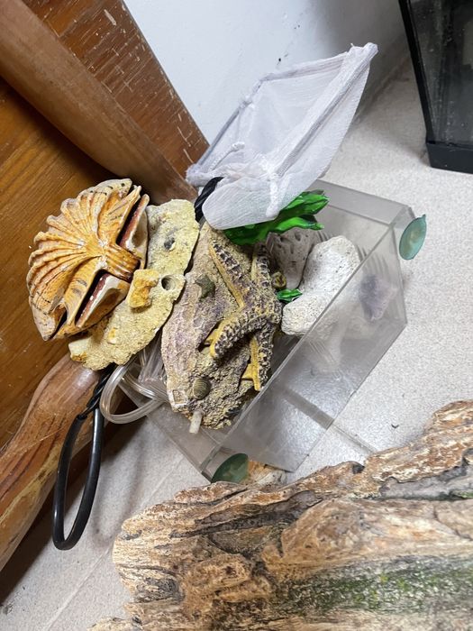 Aquario + acessorios