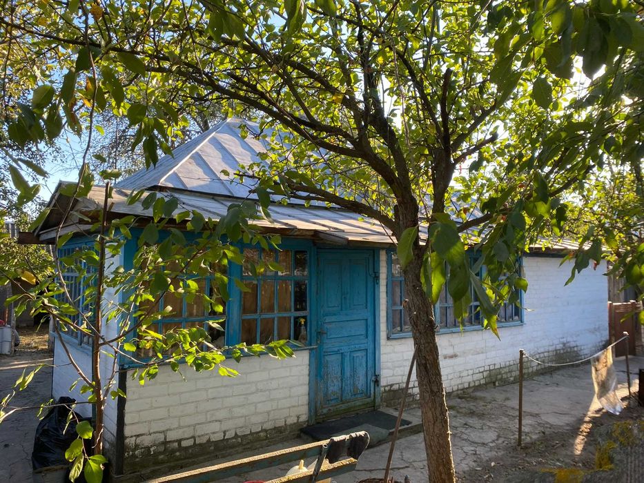Продам будинок Чернігівська обл. с. Любечанинів