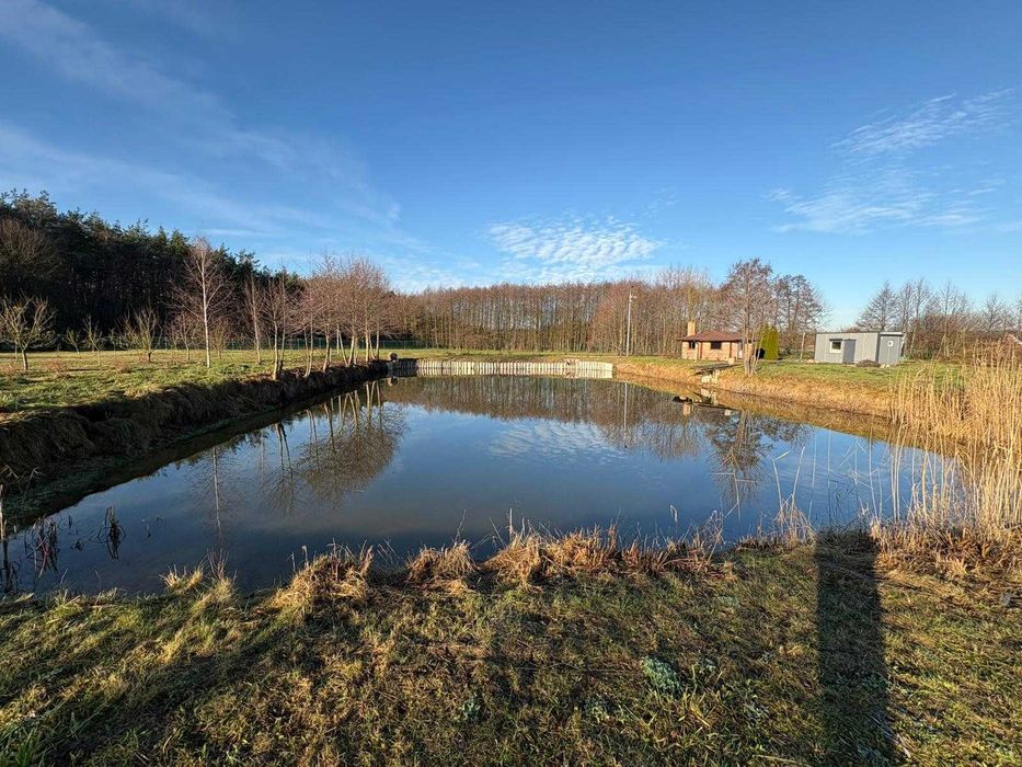 Działka Budowlana * Staw * Rostarzewo Głodno Rakoniewice