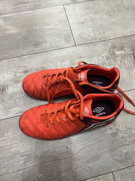 Сороконіжки umbro medusae