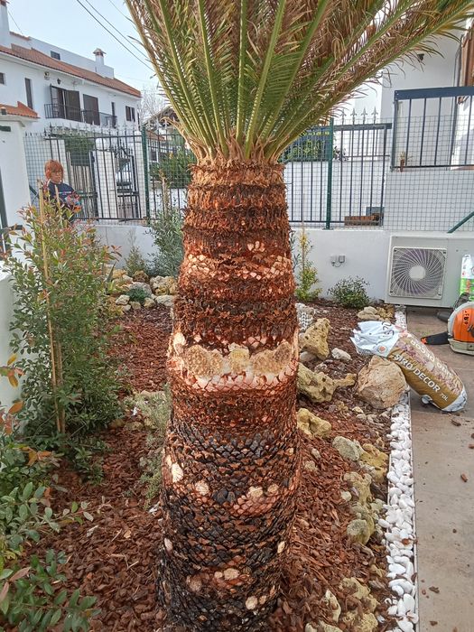 Manutenção de jardins em Lisboa