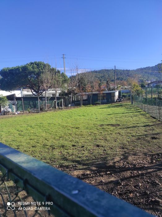 Ovos de qualidade superior