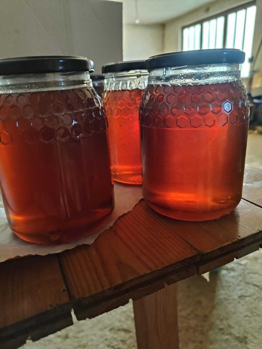 25 kg Mel caseiro 2024