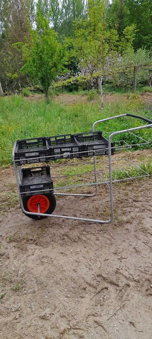 Carrinho de colheita de fruta e hortícolas