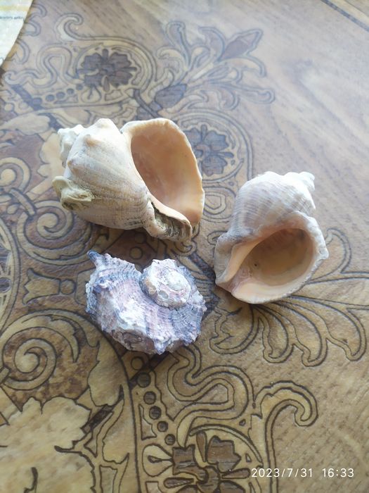 Декор для аквариума+Подарок