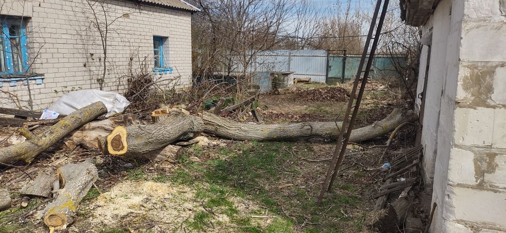 Зпилювання дерев, обрізка дерев