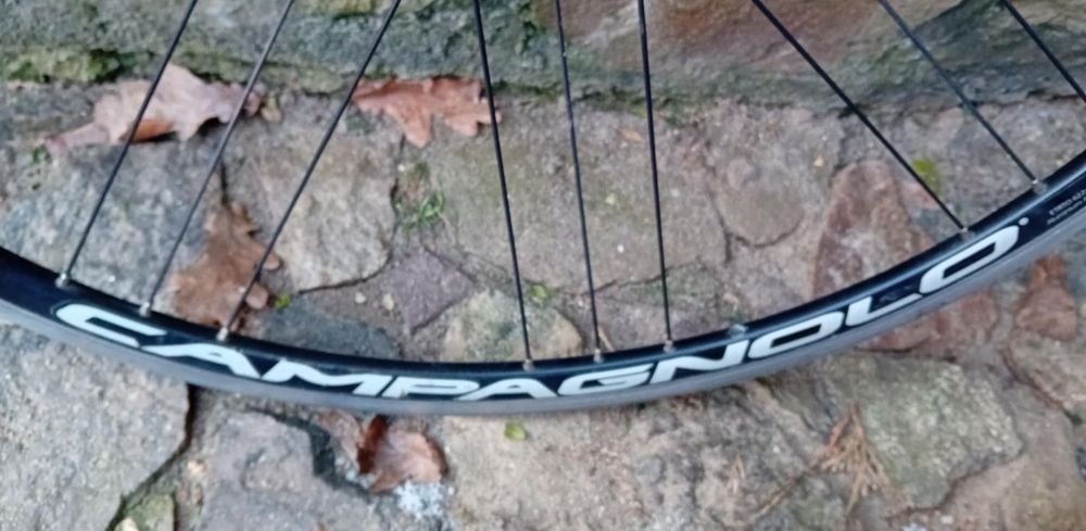 Dwa koła Campagnolo