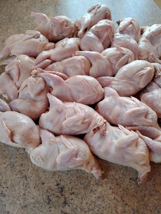 Продам мясо перепёлки (ОПТ, розница)