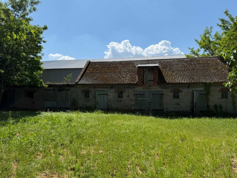 Gospodarstwo / siedlisko / teren inwestycyjny - znakomita lokalizacja - Widok 4