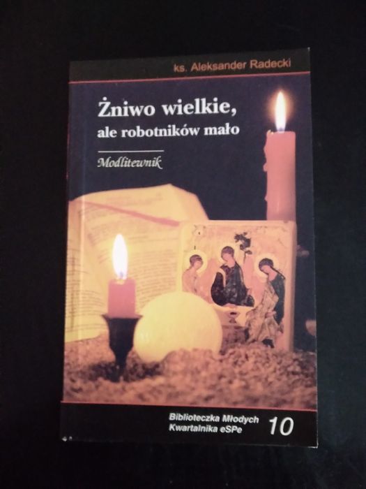 Żniwo wielkie, ale robotników mało. Modlitewnik- ks. Aleksander Radeck