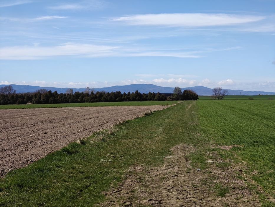 Działka budowlana Głębinów - Nysa - nad jeziorem z widokiem na góry - Widok 5
