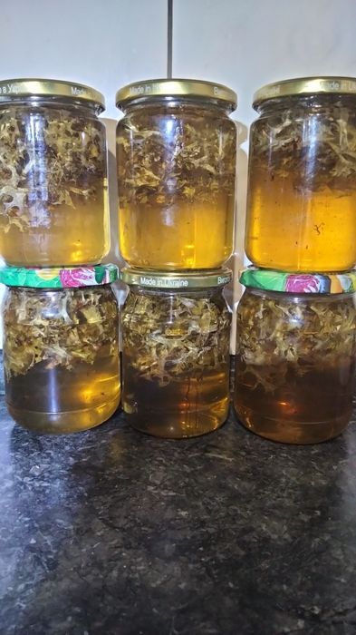 Сироп з ісланскім мхом.Исланский мох.застуда,бронхіт Природний антібіі