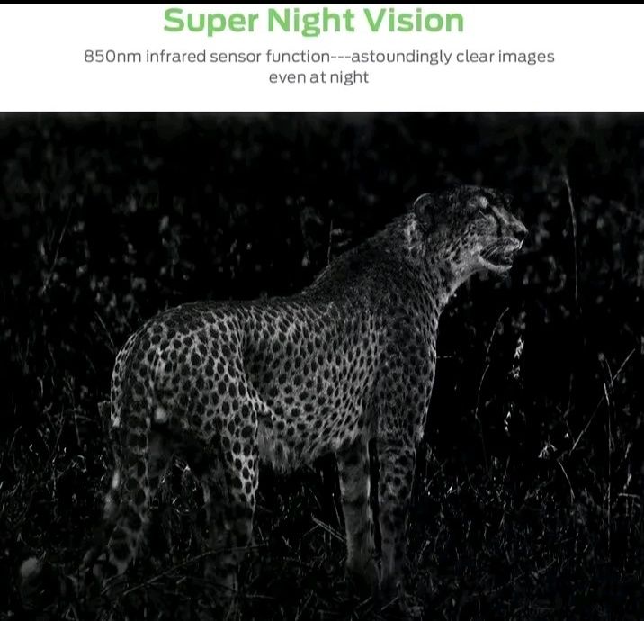 Mini Camara Compacta de Caça