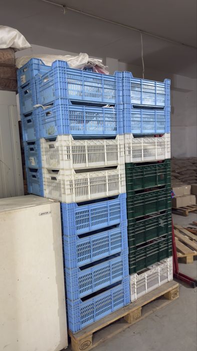 Пластиковые ящики . В наличии 50 шт.