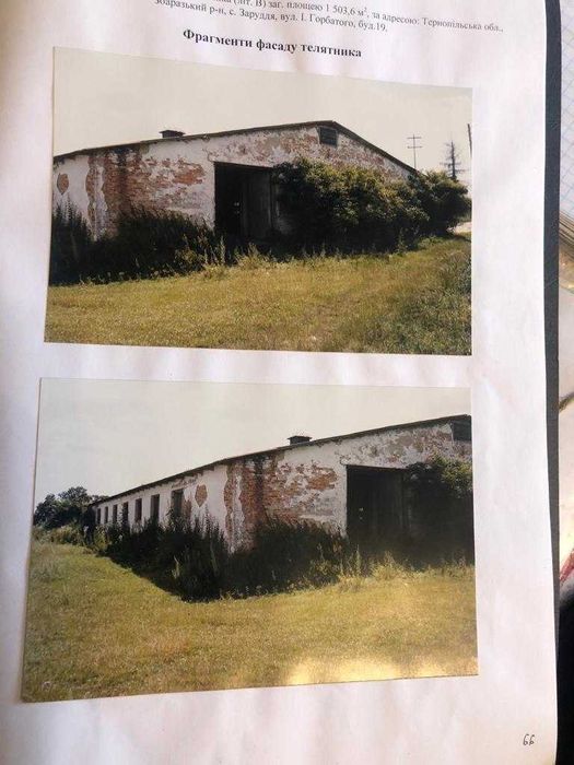 телятник Тернопільська область Збараж