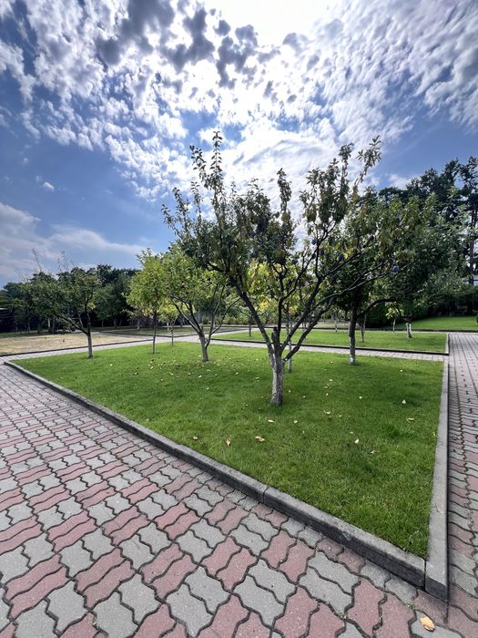 Здам будинок для сімʼї з виходом до води