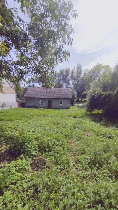 Działka z starym domem I stodołą- Niezwojowice