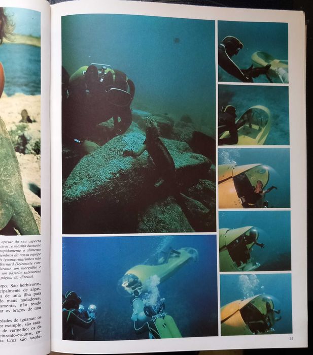 O Mundo Submarino de Jacques Costeau - vol 1 e 2 - portes incluídos