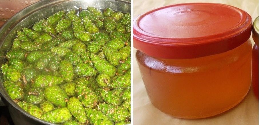 Шишка Свіжа соснова зелена