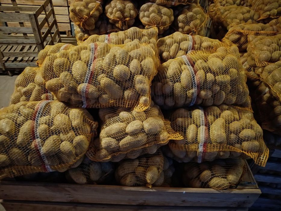 POLSKIE ziemniaki Queen Anna Jurek Soraya worki 15 kg