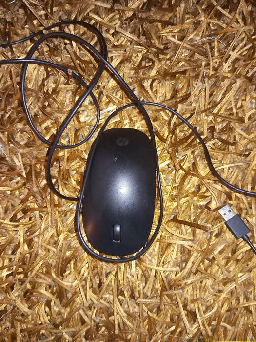 Ratos e teclado para PC.