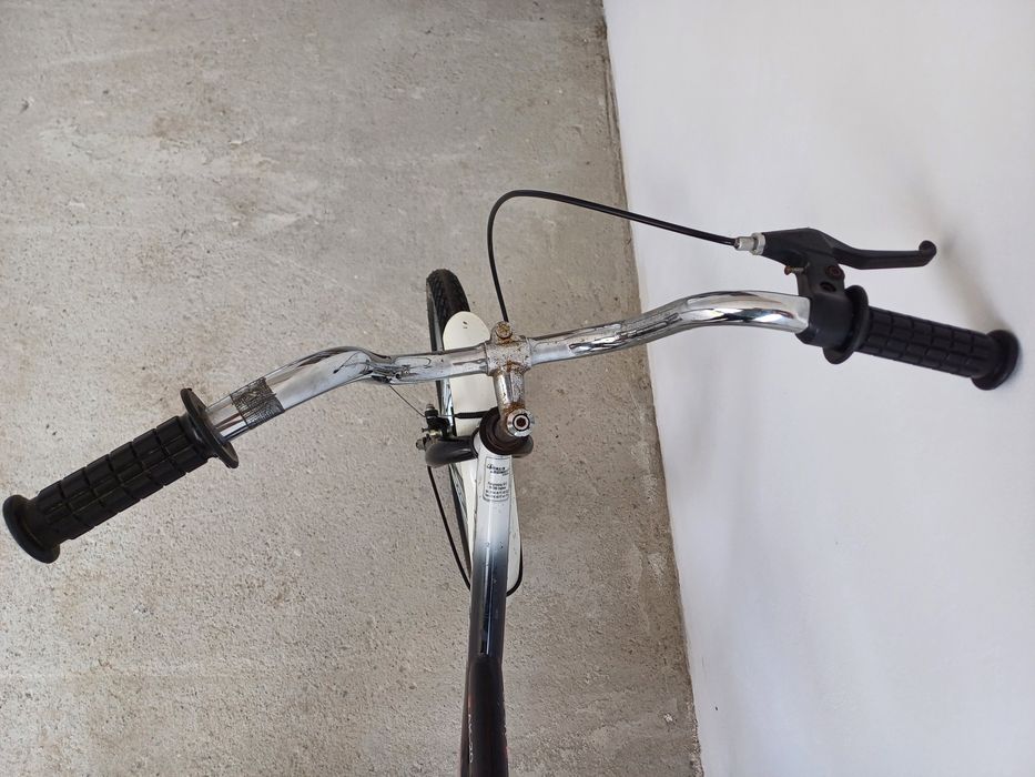 Rower Arkus AK-20