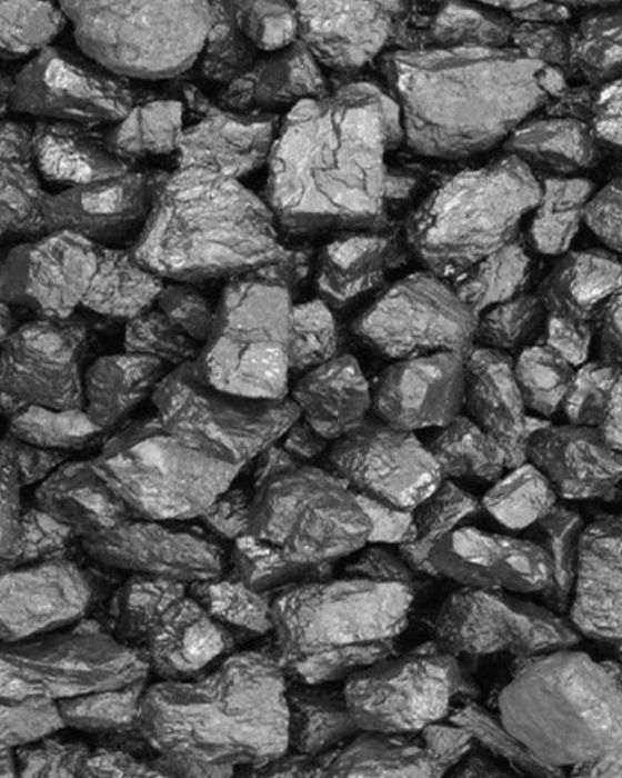 Polski Węgiel orzech