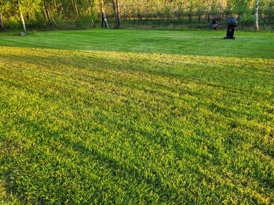 Glebogryzarka separacyjna