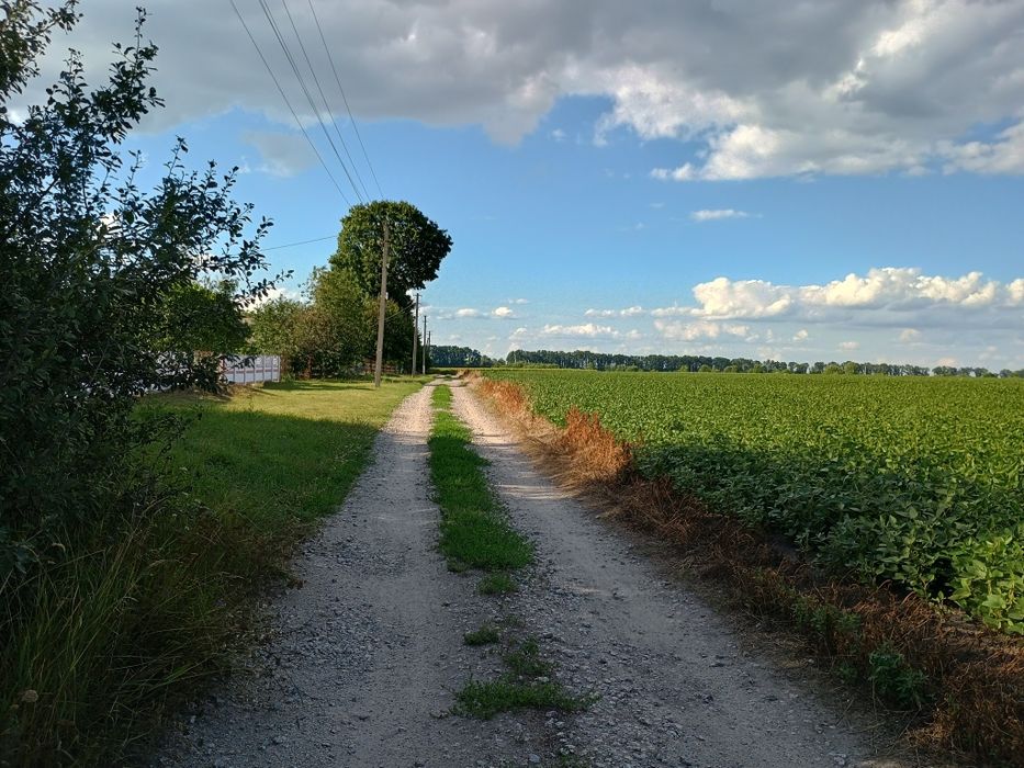 Продам земельну ділянку в с.Стави