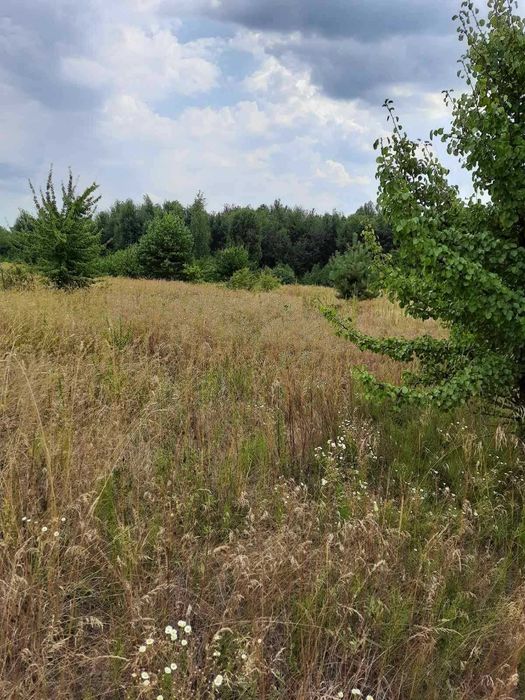 Вища Дубечня,  10 соток для будівництва