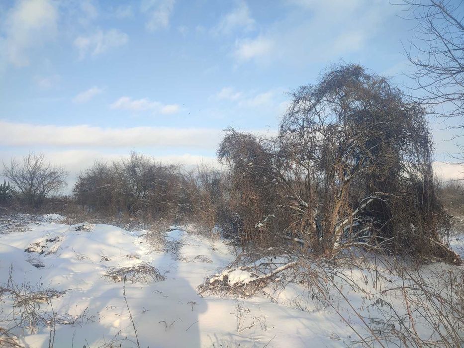 Продається ділянка в Агрономічному