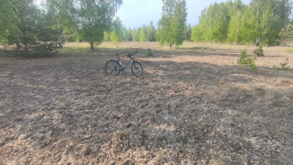 участок 11 соток, село Дружня