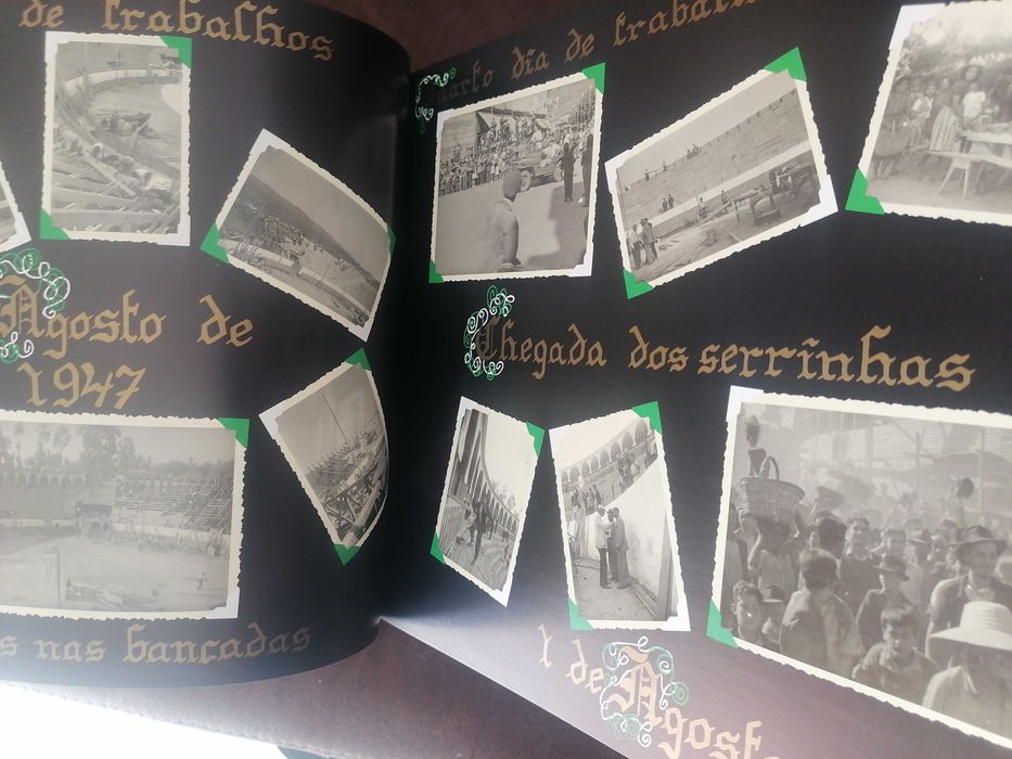 Livro o milagre vimaranense