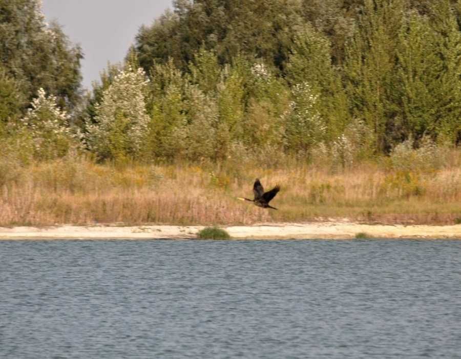 Продам населений пункт село хутір Бориспільський район Київ