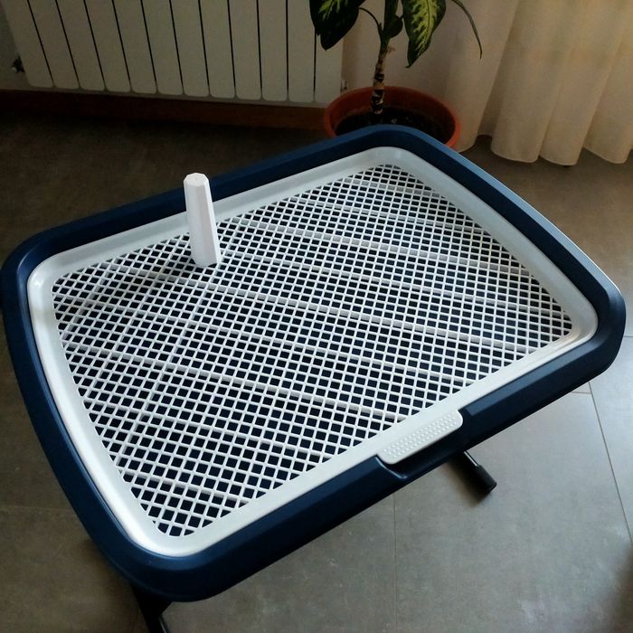 WC para cães medio porte