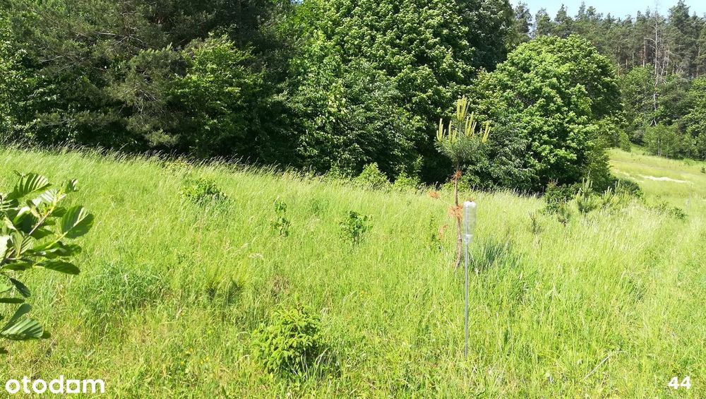 Kaborno budowlane Olsztyn 10km - Widok 4